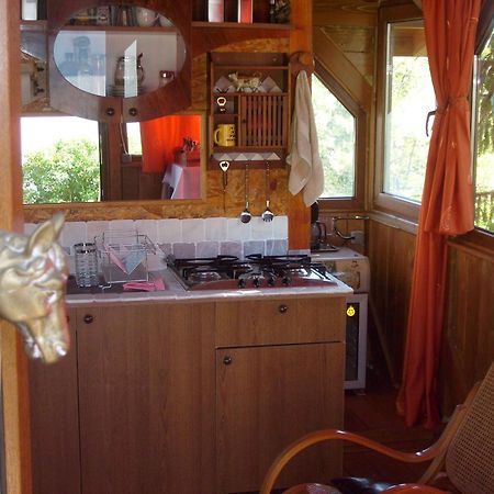 Transylvania Cowboy Cottage Kluž Exteriér fotografie